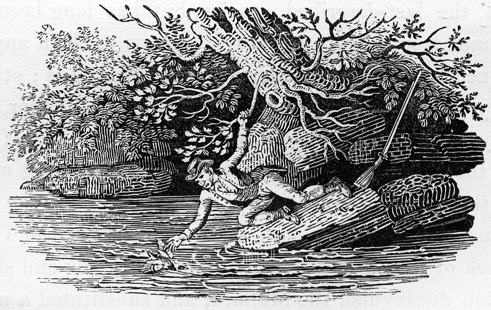 A hunter leans precariously from a fallen tree over a river, stretching to grasp a duck floating on the water, with his gun propped against the bank behind him.