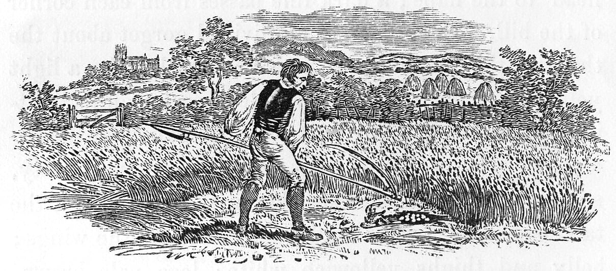 A young reaper pauses with his scythe in a field of ripe grain, having uncovered a partridge nest at his feet, with a distant church and haystacks on the horizon.