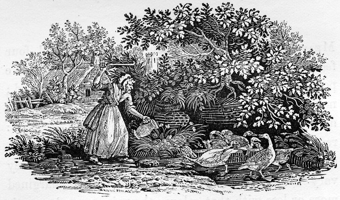 An old woman in a bonnet and long dress carries a pail toward a flock of ducks beside a cottage and large overhanging tree in a rural landscape.