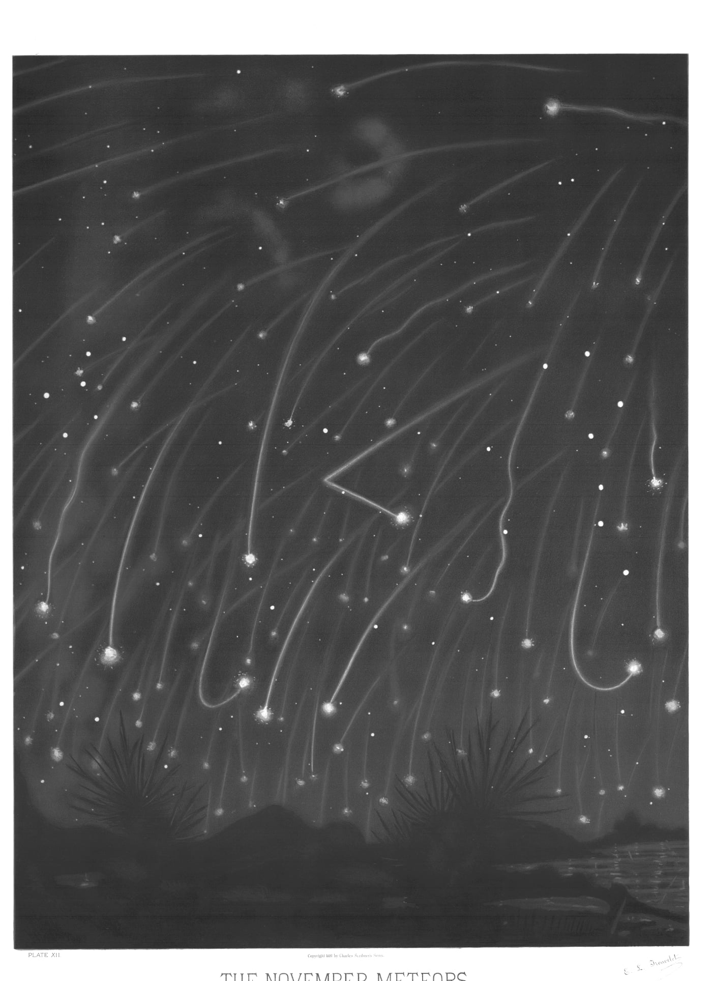 A dark night sky filled with streaks of falling meteors radiating outward above silhouetted plants, hills, and a reflective body of water.